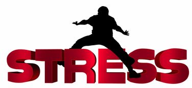 华体会体育在线-NBA球员心理压力识别及干预技术研究,nba球员性格问题